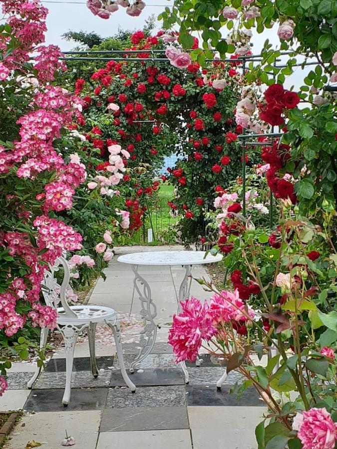 Rosencat Villa Sado Екстериор снимка