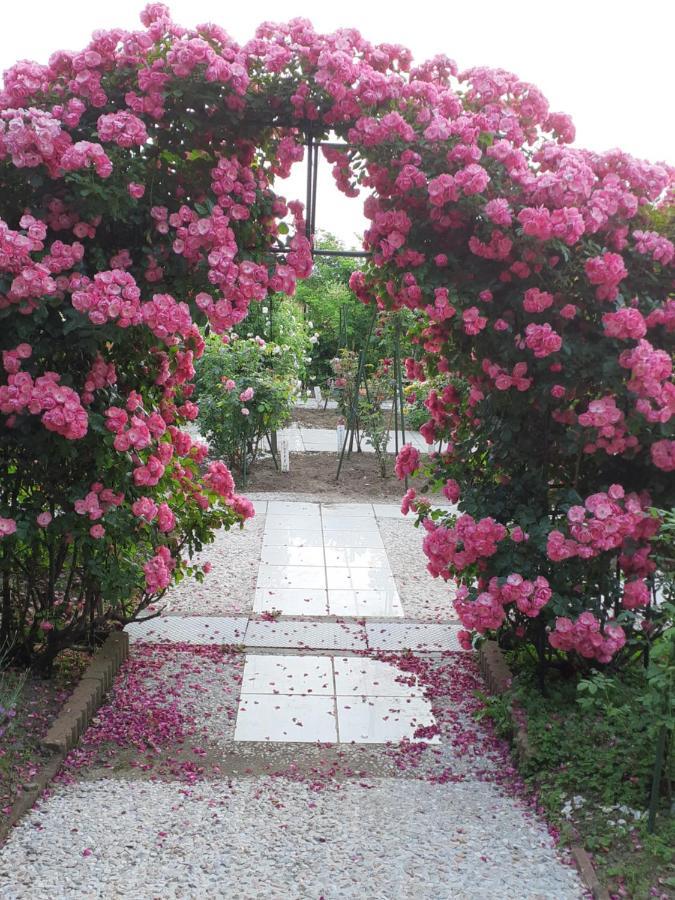 Rosencat Villa Sado Екстериор снимка